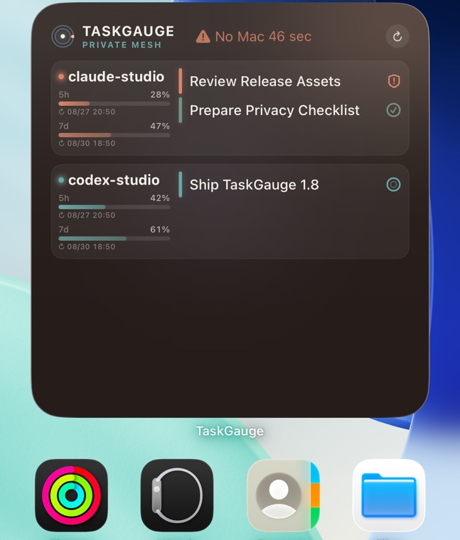 Real TaskGauge 1.8 combined widget showing the latest safe snapshot, grouped by account with quotas and current tasks